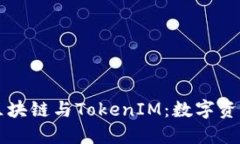 深入了解区块链与TokenIM：