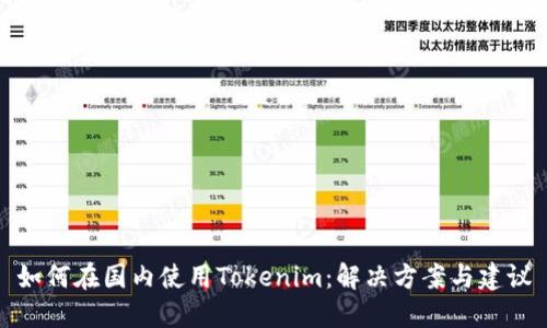 如何在国内使用Tokenim：解决方案与建议