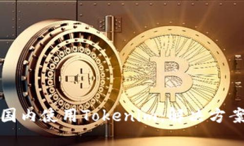 如何在国内使用Tokenim：解决方案与建议