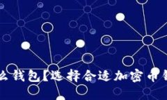 买虚拟币用什么钱包？选