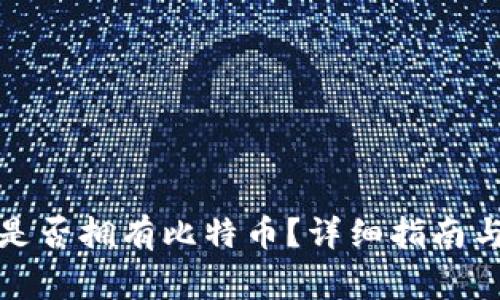 如何查看自己是否拥有比特币？详细指南与常见问题解答