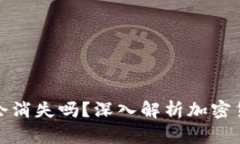 加密货币钱包会消失吗？深入解析加密货币钱包