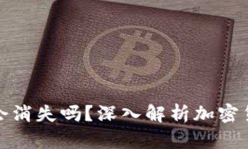 加密货币钱包会消失吗？深入解析加密货币钱包的未来
