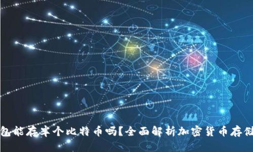 冷钱包能存半个比特币吗？全面解析加密货币存储方式
