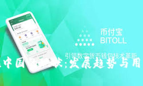 Pi币在中国的现状：发展趋势与用户分析