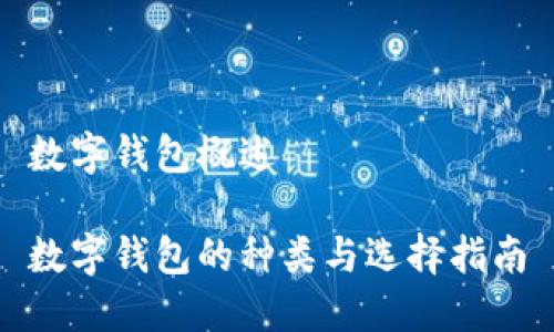数字钱包概述

数字钱包的种类与选择指南