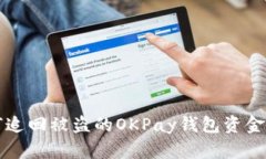 如何追回被盗的OKPay钱包资金指引